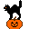 pumpkin with a cat