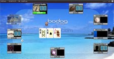 Bodog Poker 