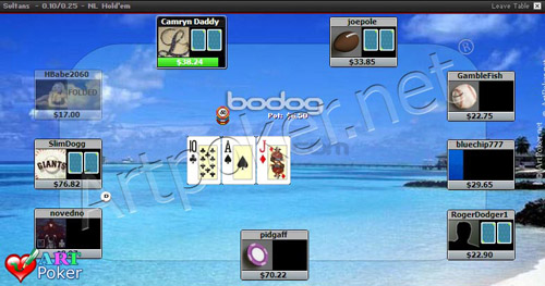 Bodog Poker 