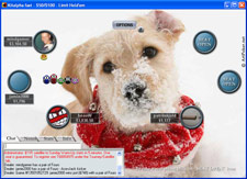 Christmas Skin