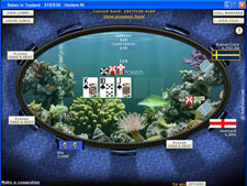 Paddy Power Poker Skins