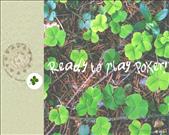Lucky-Clover-800x600