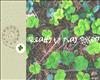Lucky Clover Wallpaper